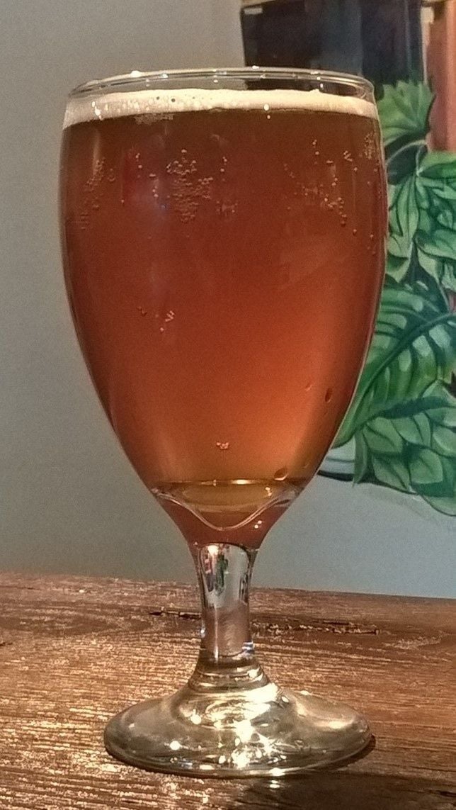 50 Craft Beers of the South Shore: Pokro Brewing's CAMMIT